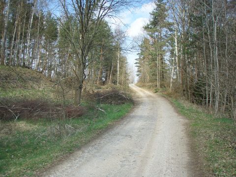 Foto 41